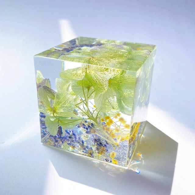 flower cube 【hydrangea】L