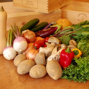 旬の新鮮野菜セット(M)【10〜12種】