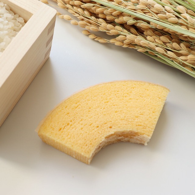 ココトモBOX　CB-050-10