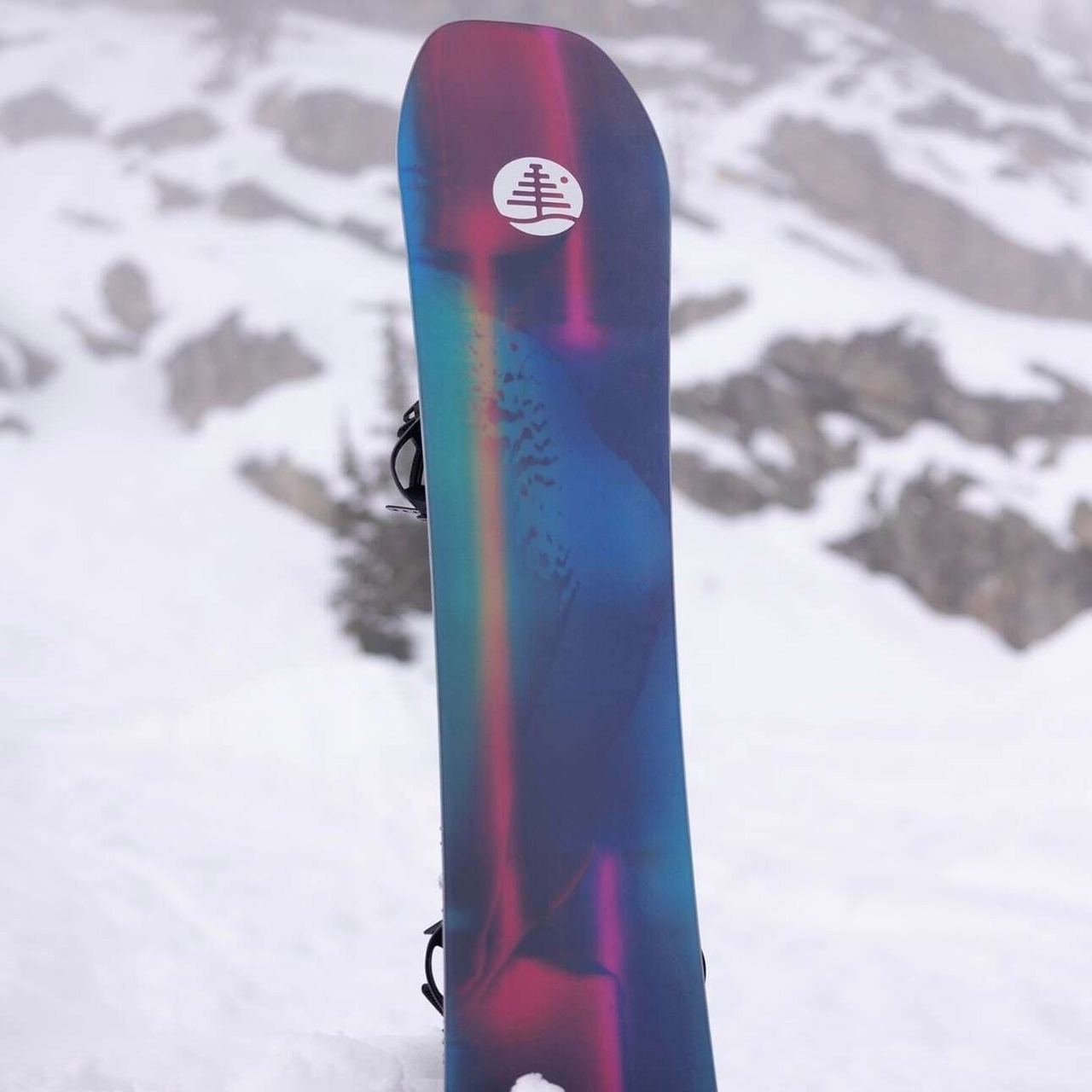 BURTONバートンFAMILY パブリック TREE SPEED DATE156テリエ監修