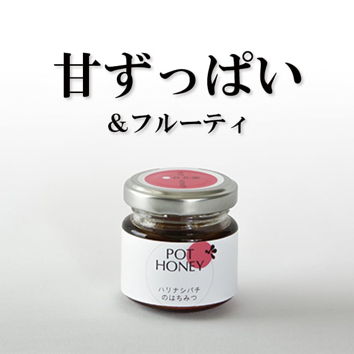 お得！】ハリナシバチの蜂蜜 POT HONEY 6種食べ比べセット 各40g | 蜜