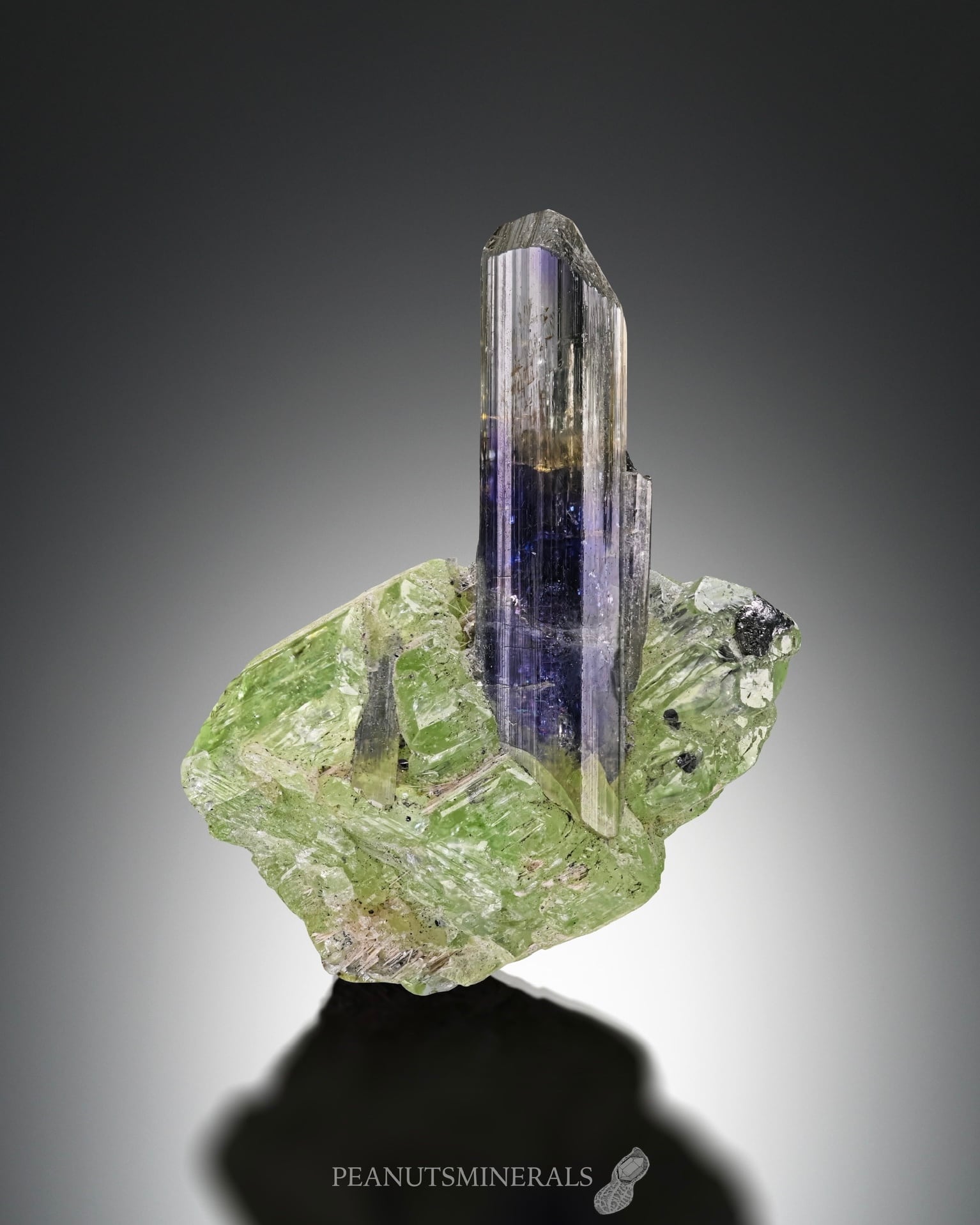 タンザナイト / ダイオプサイト【Tanzanite with Diopside タンザナイト / ダイオプサイト【Tanzanite with Diopside