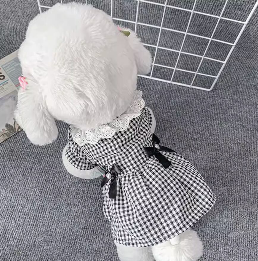キャット 猫 ドッグ 犬 中型犬 小型犬 フレブル チワワ パグ ヨークシャテリア Mダックス ヨークシャー ドッグウェア ドレス ワンピース オールインワン チェックワンピース フレア セミフレア リボン フリル パール かわいい きれいめ シンプル 上品 レトロ 個性的 エレガント ラブリー キュート ガーリー チェック ギンガムチェック 春 夏 女の子 成犬 子ども デート お出かけ パーティー イベント リゾート 旅行 公園 休日 ガーデン レストラン ショッピング カフェ 朝 散歩 ウォーキング