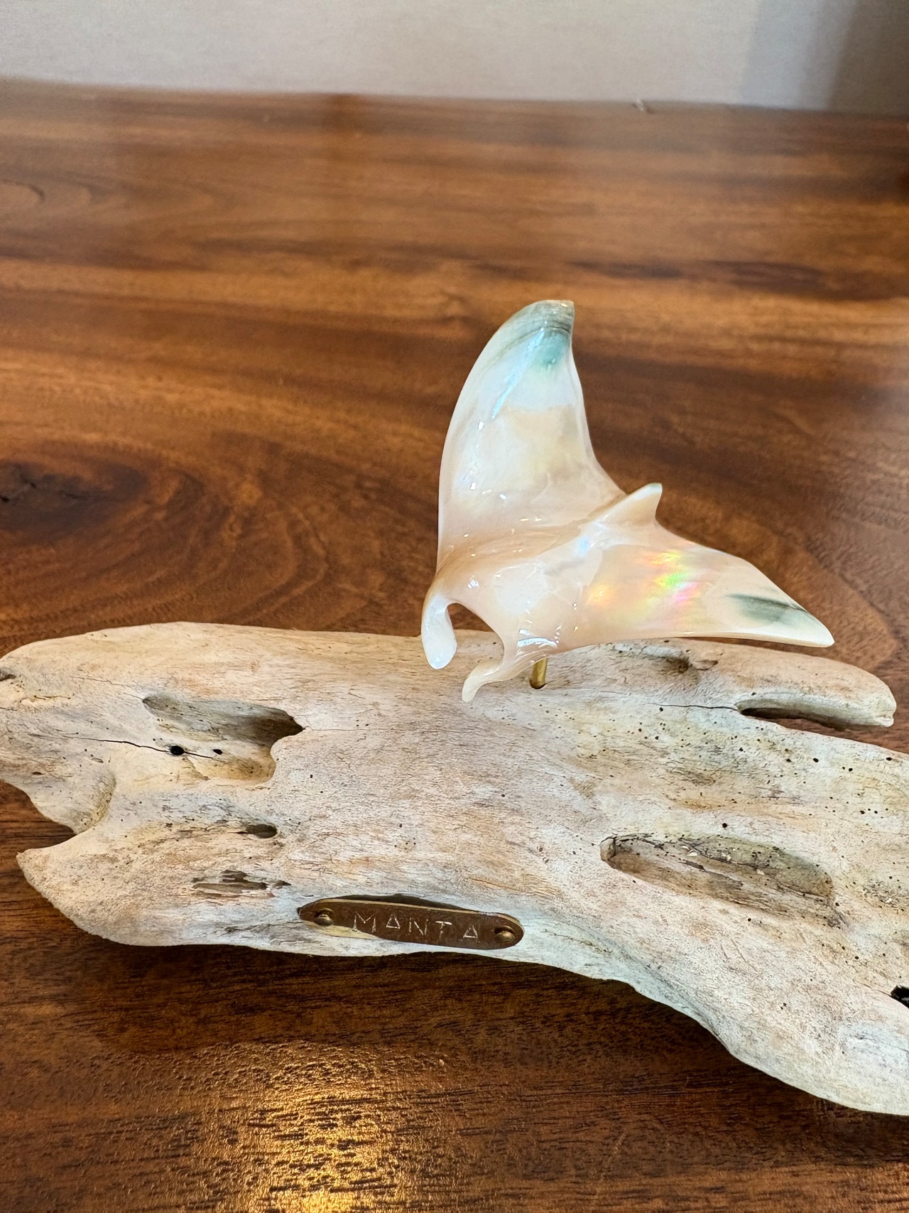 夜光貝マンタのオブジェ　沖縄の思い出に