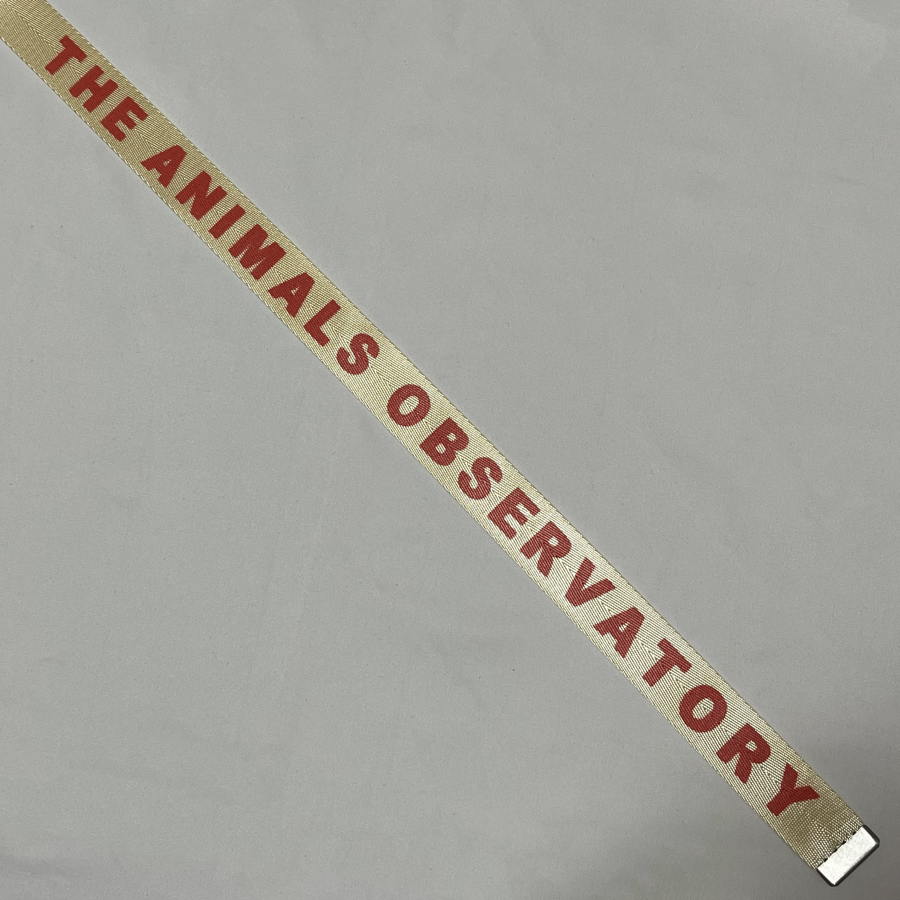 THE ANIMALS OBSERVATORY Logo Belt | TRAMPOLINE kids