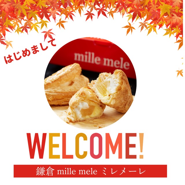 “”初回限定“”食べ比べセット(イタリアンマロンパイ2個・ガトーショコラパイ2個・世界一のアップルパイ2個)