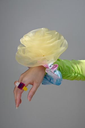 mimicry－chouchouー