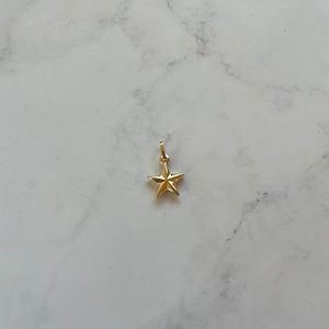 【14K1-51】14K gold charm