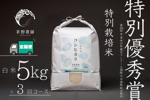 【定期便 5kg×3回コース】【R7年産米】茅野農園 特別栽培米 コシヒカリ 5kg 減農薬 化学肥料(窒素成分)不使用