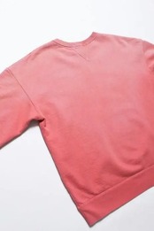 【BOW WOW】FADED DOUBLE V SWEATSHIRT