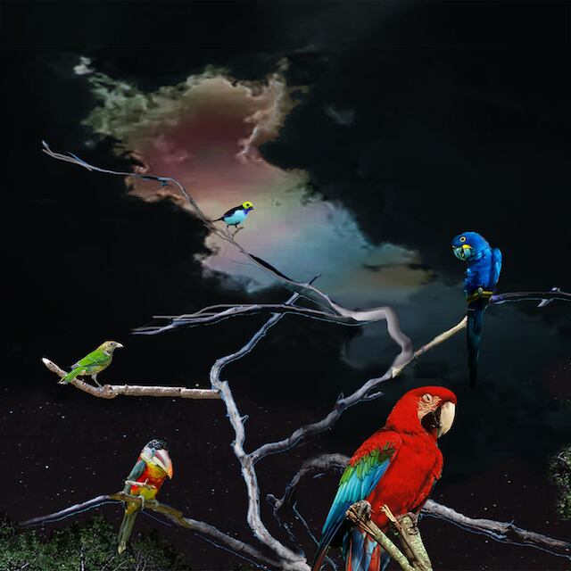 Alex G / Live From Union Transfer(Ltd Tangerine LP)