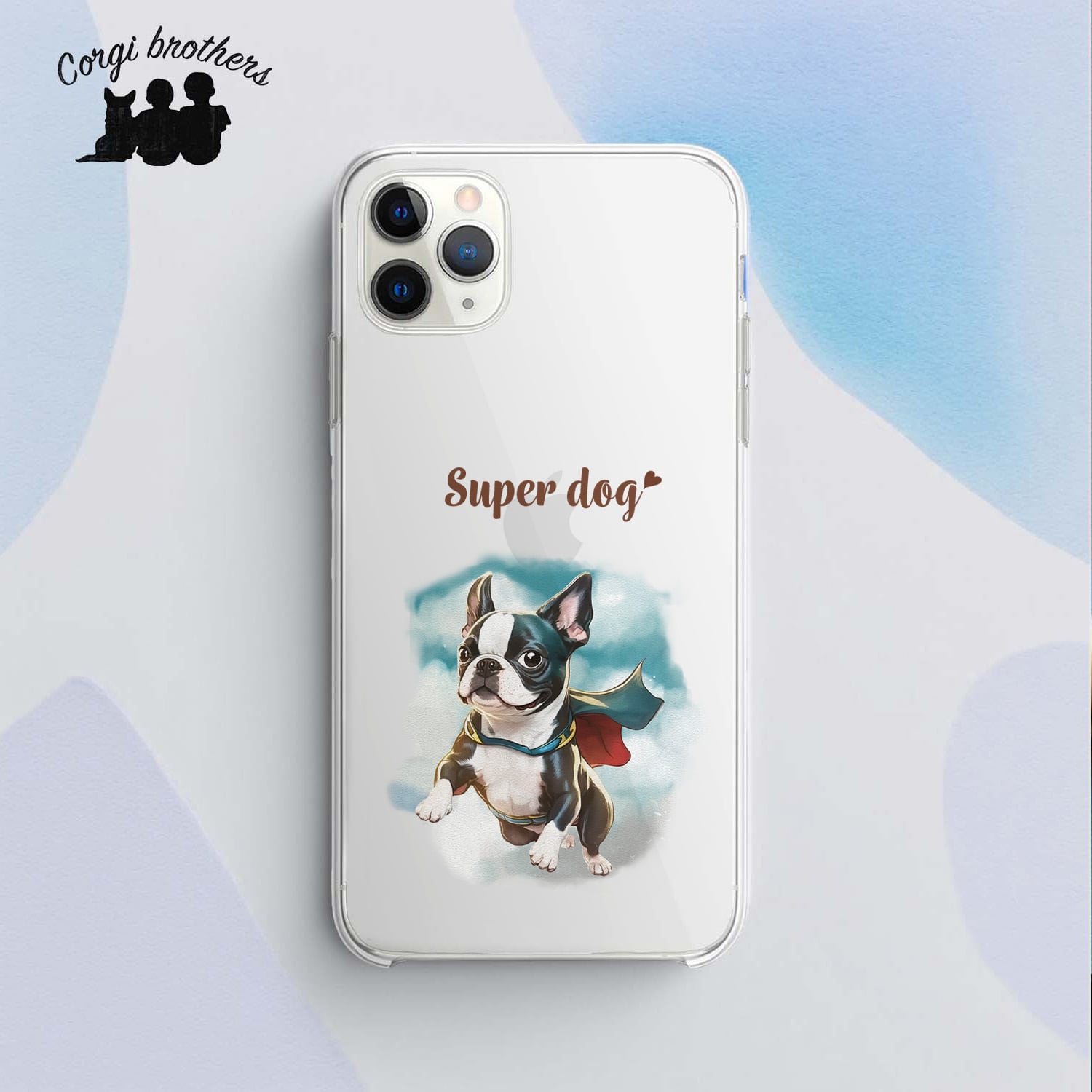 ボストンテリア | Corgibrothers