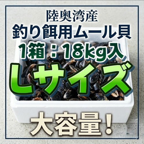 ■1箱：18kg入り【釣り餌用 ムール貝】Lサイズ