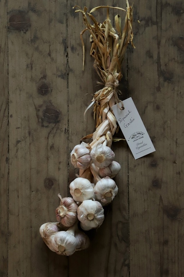Spanish garlic braid　ガーリックブレイド　12連　～ 自然栽培のにんにく  スペイン品種　～　No.08
