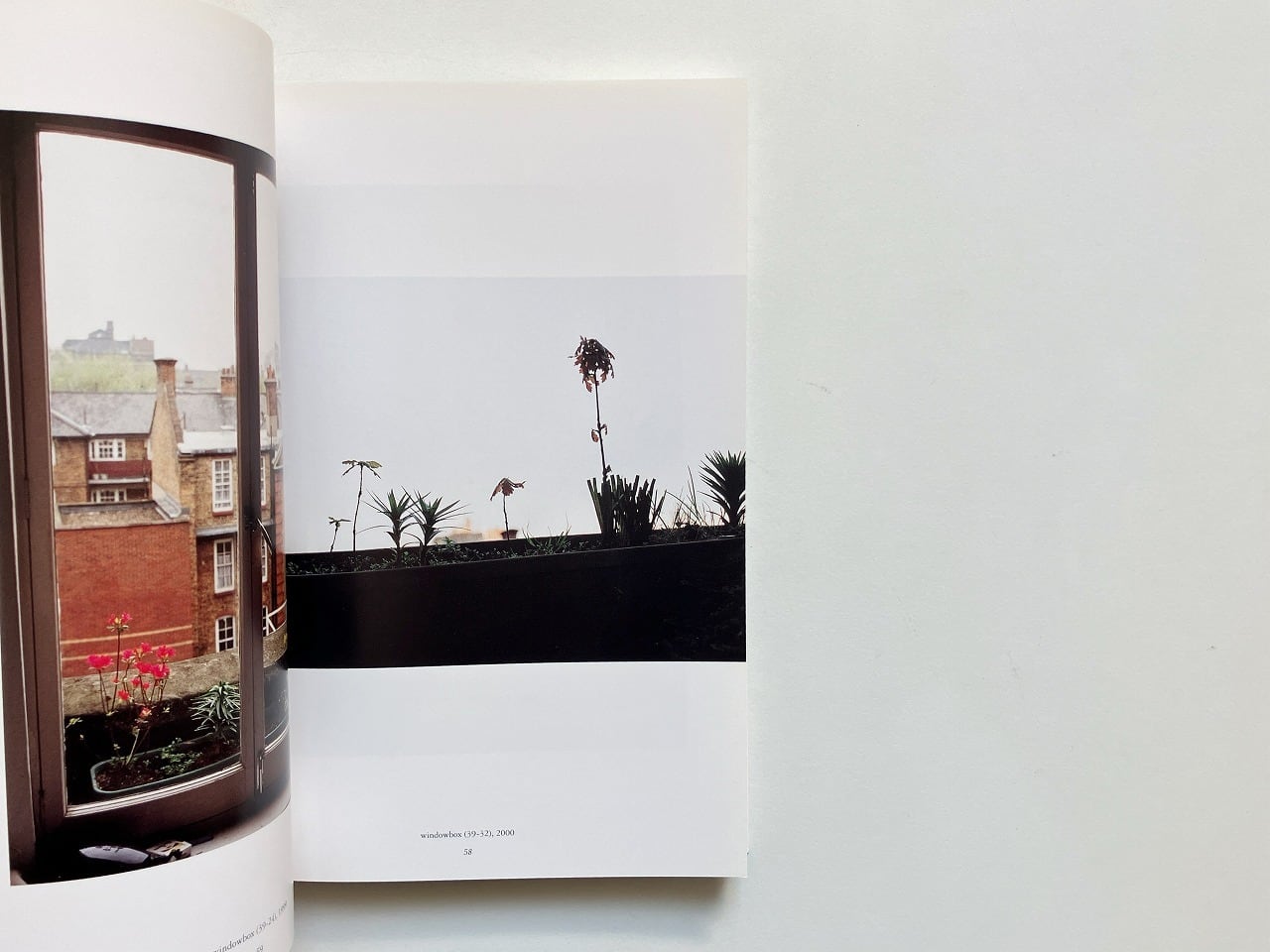 ヴォルフガング・ティルマンス Wolfgang Tillmans | Wako book 2 | 翠