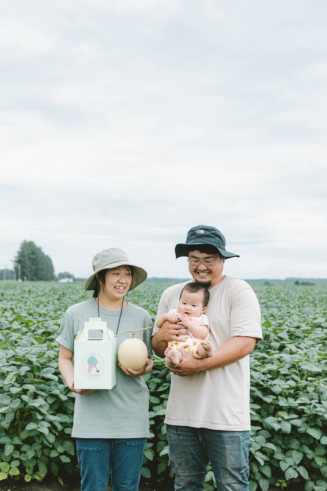 十勝メロン（札幌キング）２個セット　4キロ程度