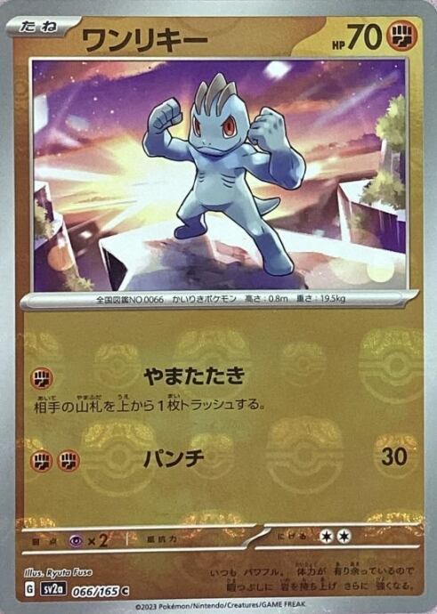 【Aランク】ワンリキー(マスターボールC)