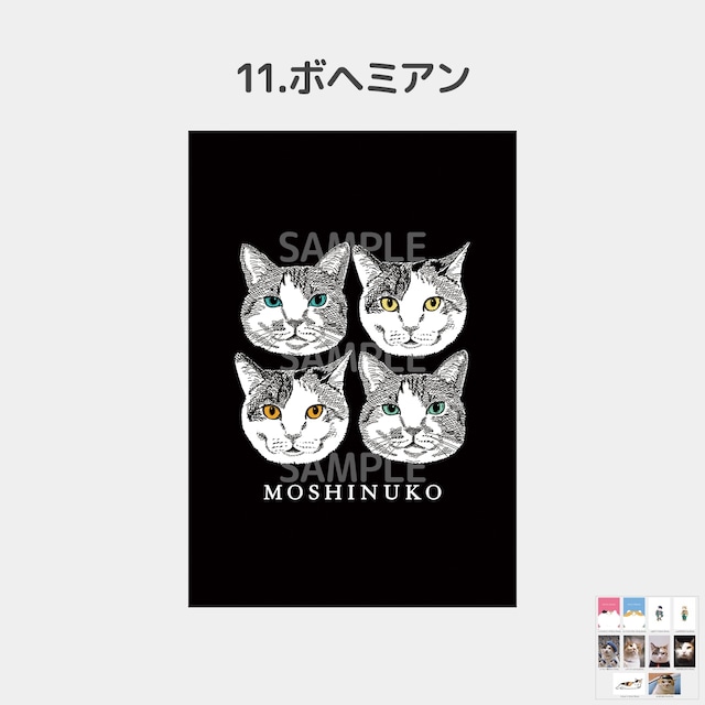 猫舎道楽堂本舗 原画額 シリアルナンバー入り+おまけポスト 猫舎道楽堂本舗 原画額 シリアルナンバー入り+おまけポスト