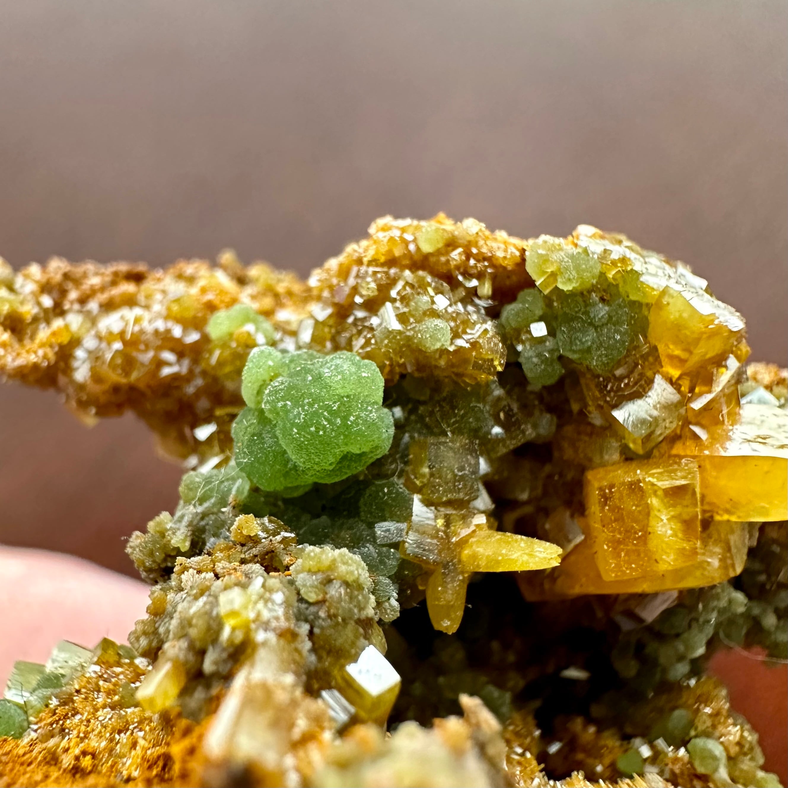 ウルフェナイト / ミメタイト【Wulfenite with Mimetite】メキシコ産