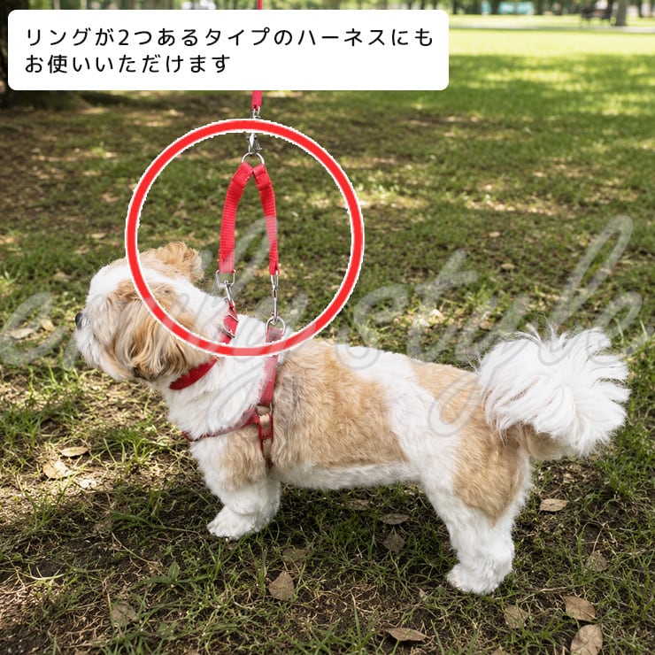 ダブルナスカンリード】 8色 ジョイントリード フック すっぽ抜け防止 ダブルナスカンリード】 8色 ジョイントリード フック すっぽ抜け防止