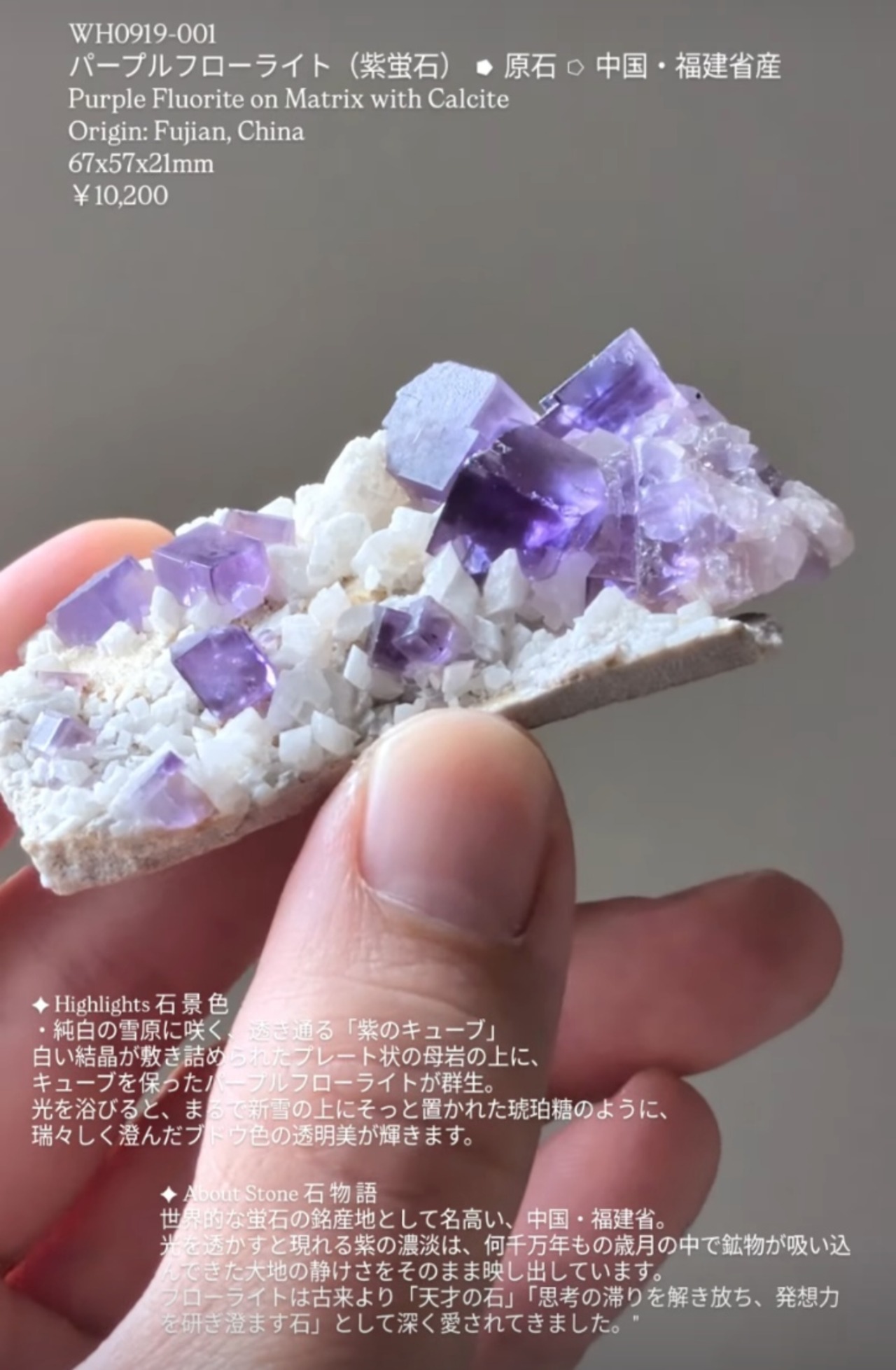 ⭔ お客様専用ページ ✦ reikomaeda