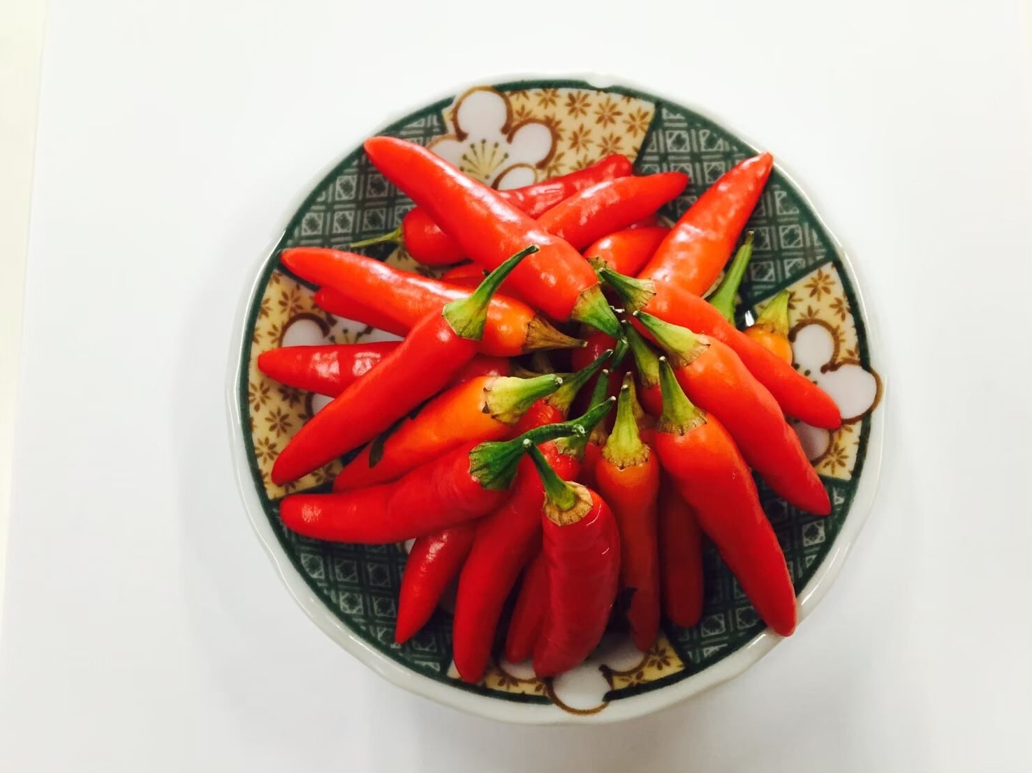 ジャンボ島唐辛子」0.5ml(種子約25粒)※ | wakabaseed