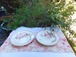 french antique 2 pretty soup&pasta plate "Favori"  フランス　アンティーク　スープ皿　FAIENCERIES DE SARREGUEMINES　”FAVORI”
