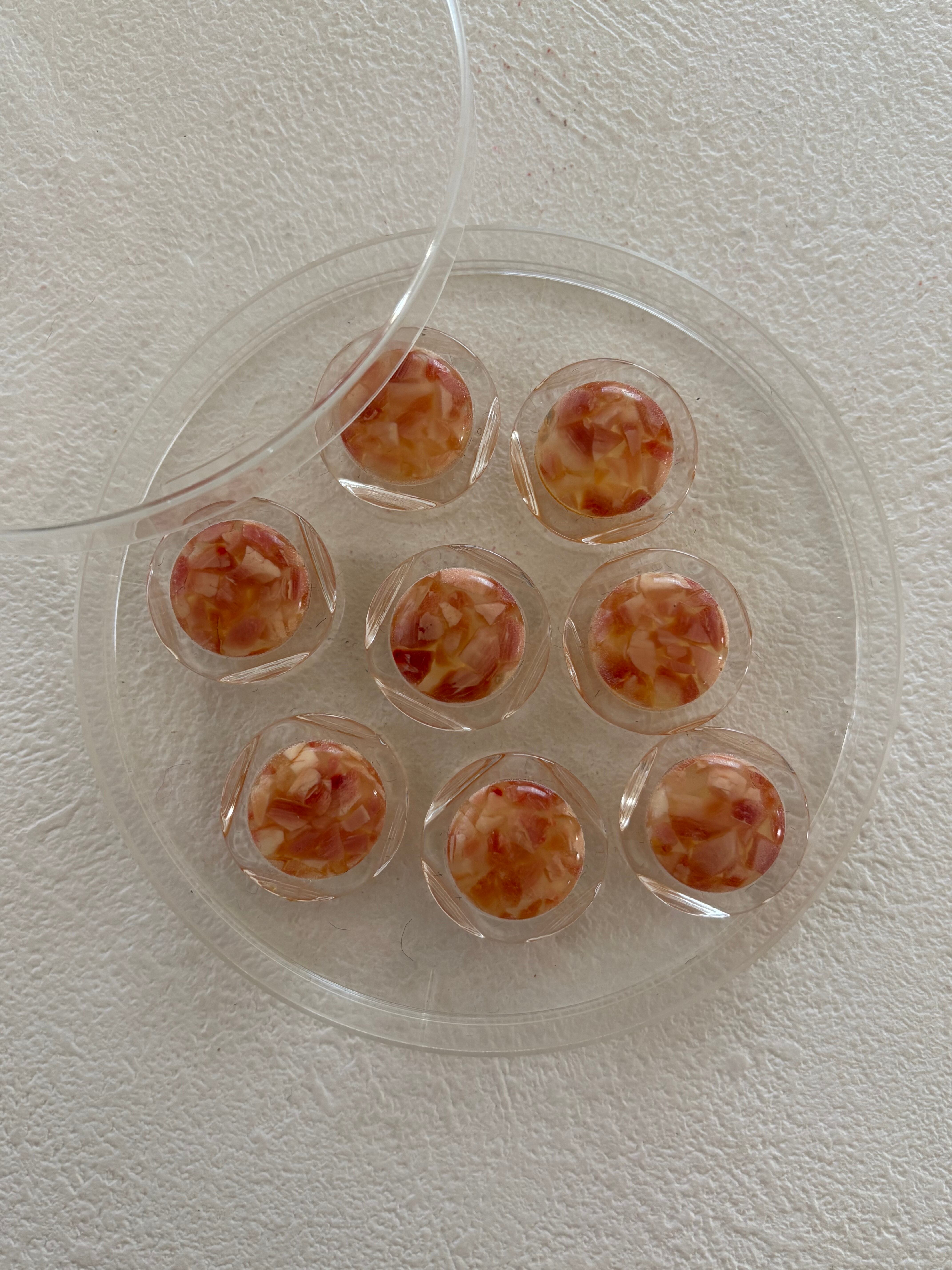 Japanese Vintage ボタン ピンク×クリア 20mm モザイク プラスチックボタン 昭和レトロ アクセサリーパーツ 装飾材