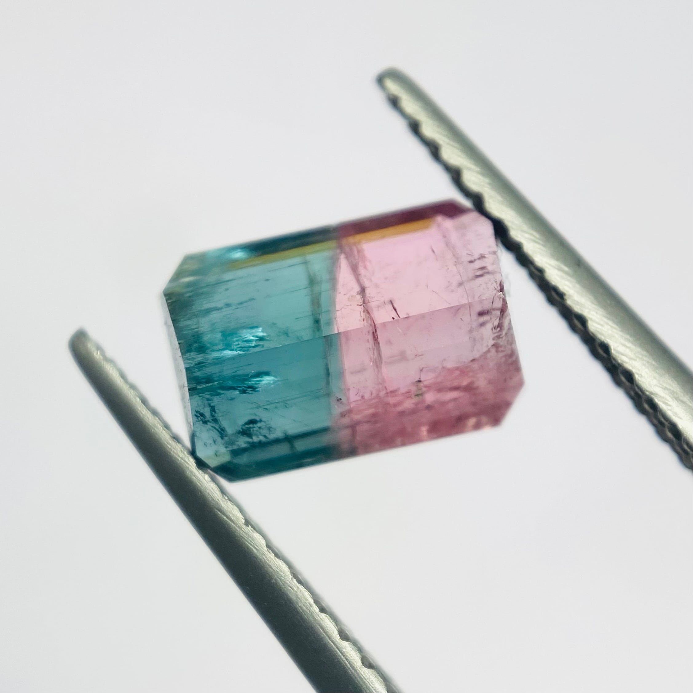 南の海の中 バイカラートルマリン