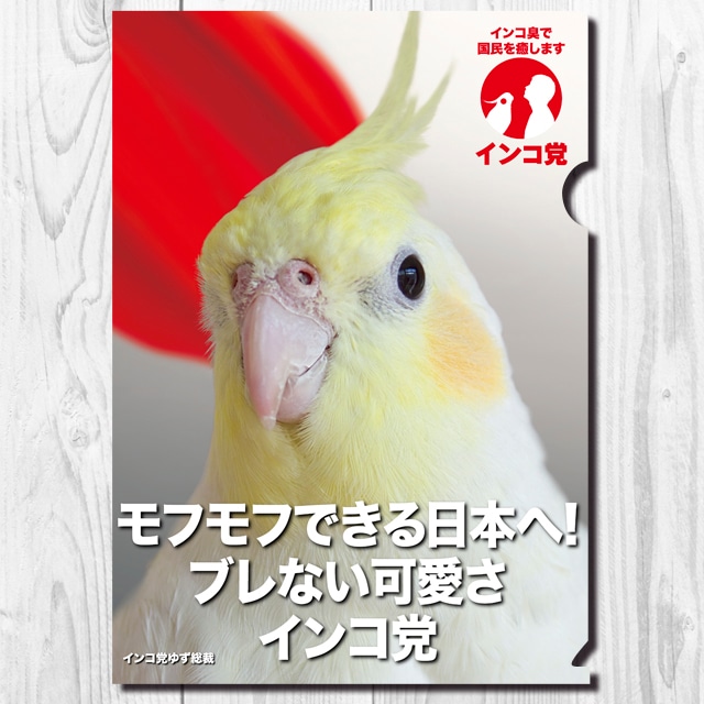 A4クリアファイル　インコ党　「モフモフできる日本」