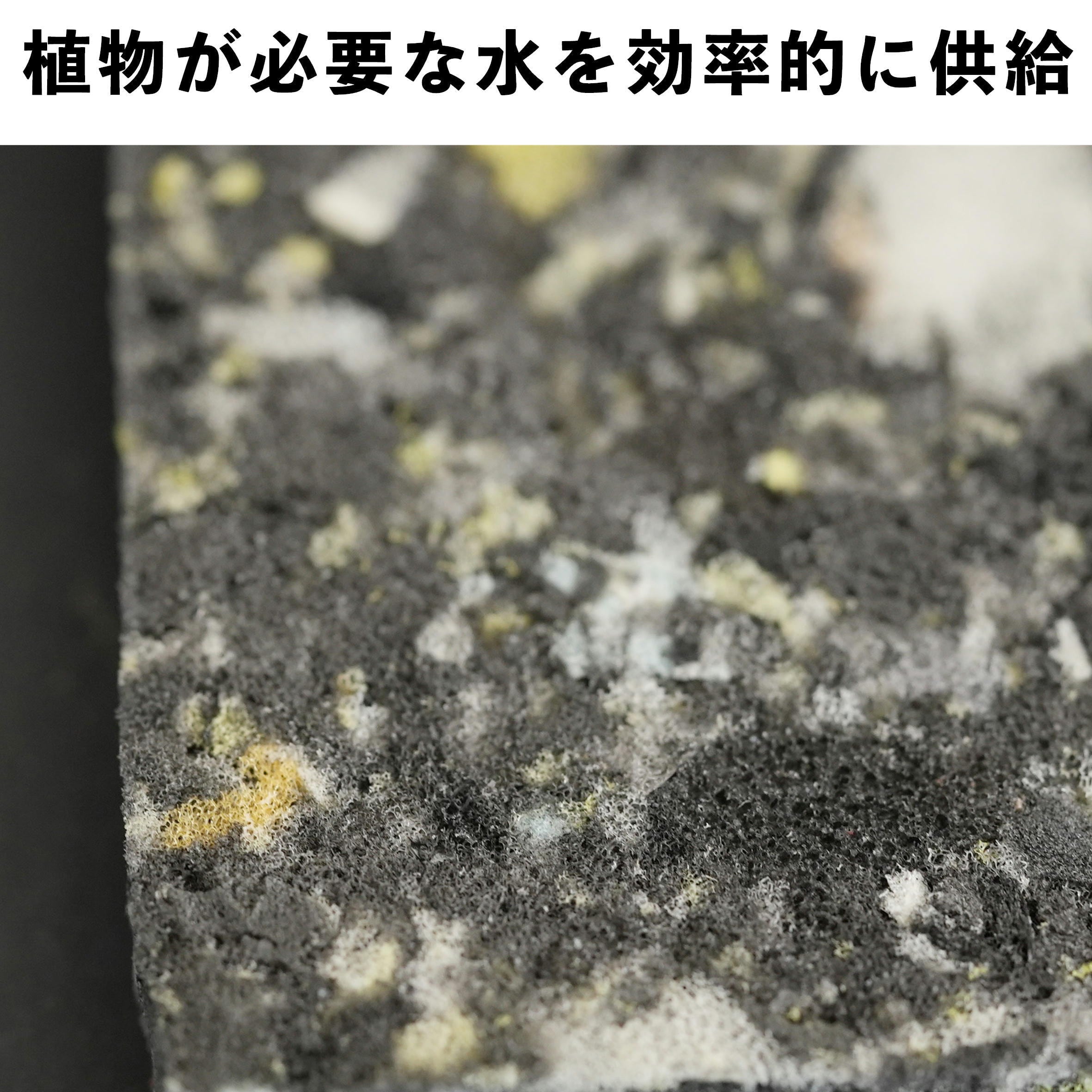 アクアセル150×150mm【保水用シート】 | 苔テラリウム専門ショップ道草