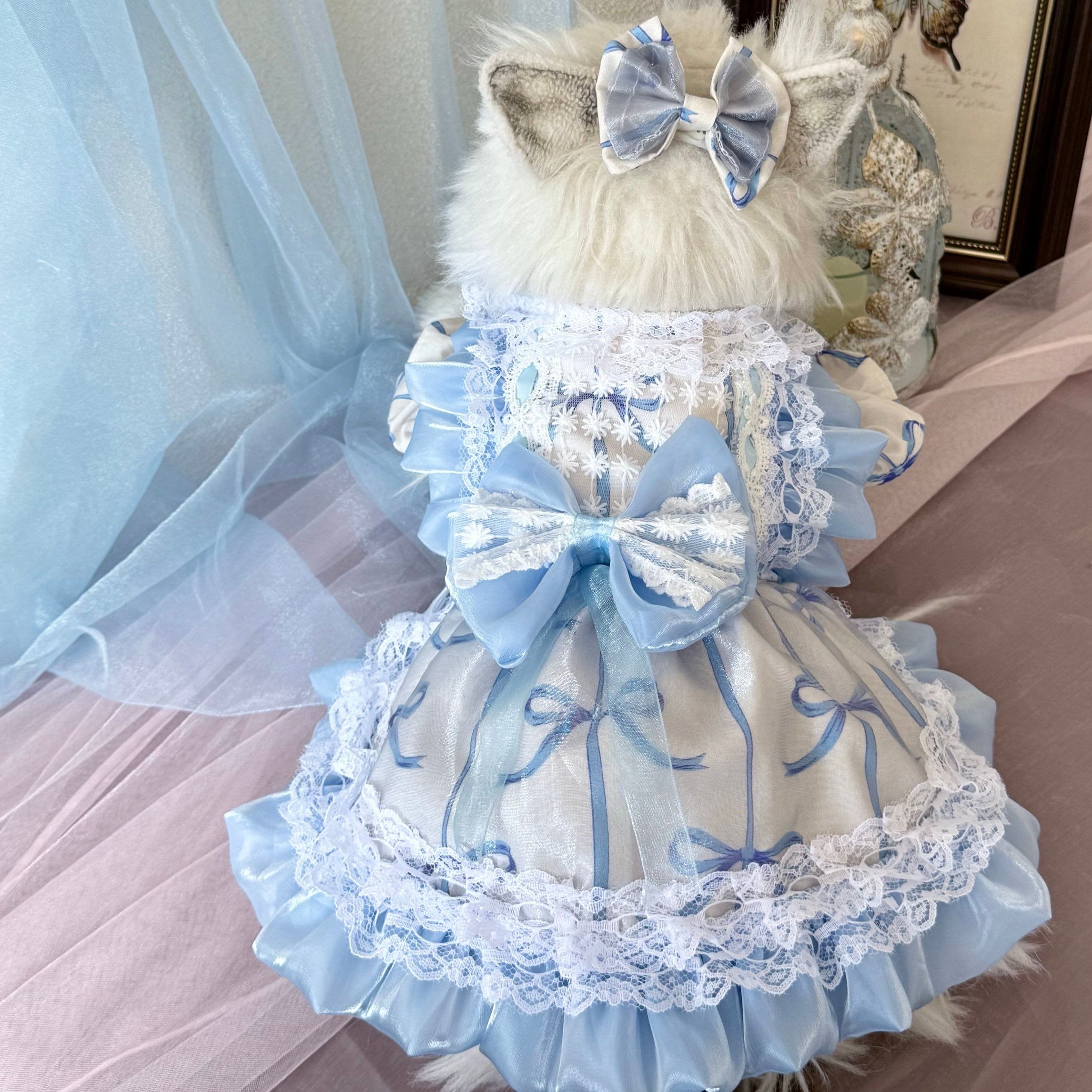 ブルーリボンプリンセスドレス&リボンセット 00982