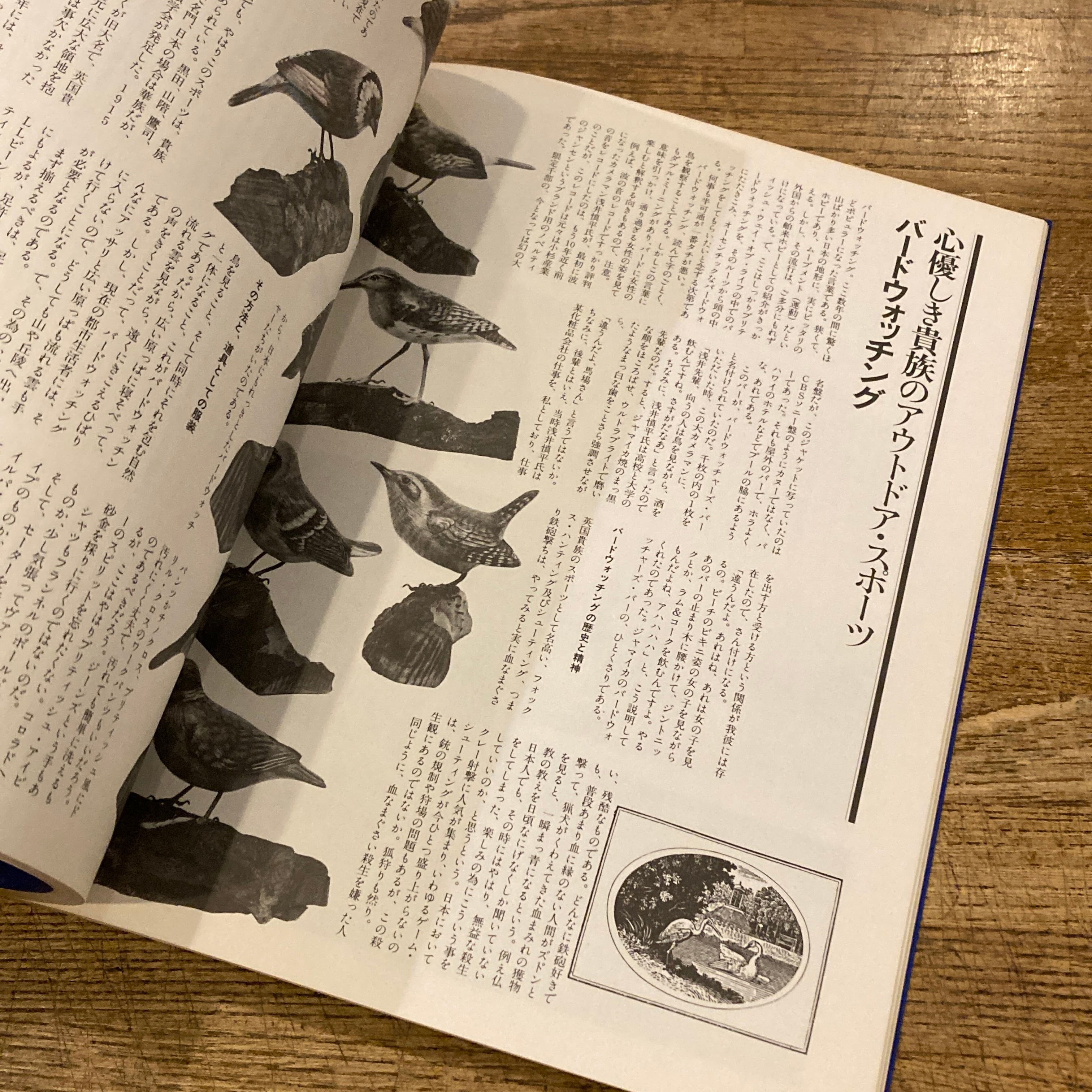 ブリティッシュ・アイビー / 馬場啓一 | 百年