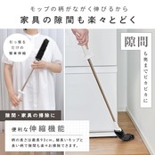 レック 激落ちくん 高密度ブラシ トレループ Premium (ハンディ伸縮タイプ ・ グレー) 最長約93cm くり返し使える ホコリ取り/ケースに通すとモップがキレイに/スライドケースでホコリをまとめて捨てられる