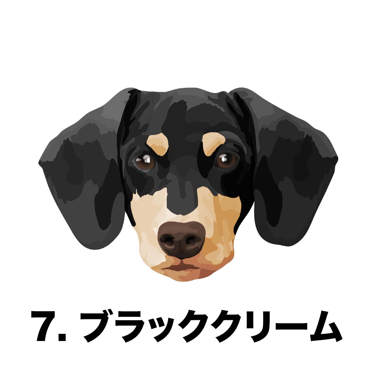 ダックスフンド 毛色7色】 タオルハンカチ ピンク＆ブルー2枚セット