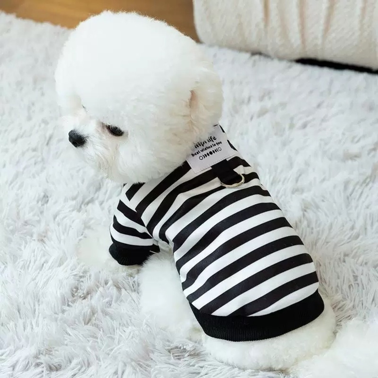 Striped Shirt【sam055】