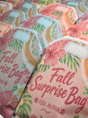 【総額2万円以上】秋のお得な福袋♪ Fall surprise bag
