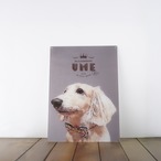 〈アクリル製〉A3版 ポスター ★29.7×42.0㎝