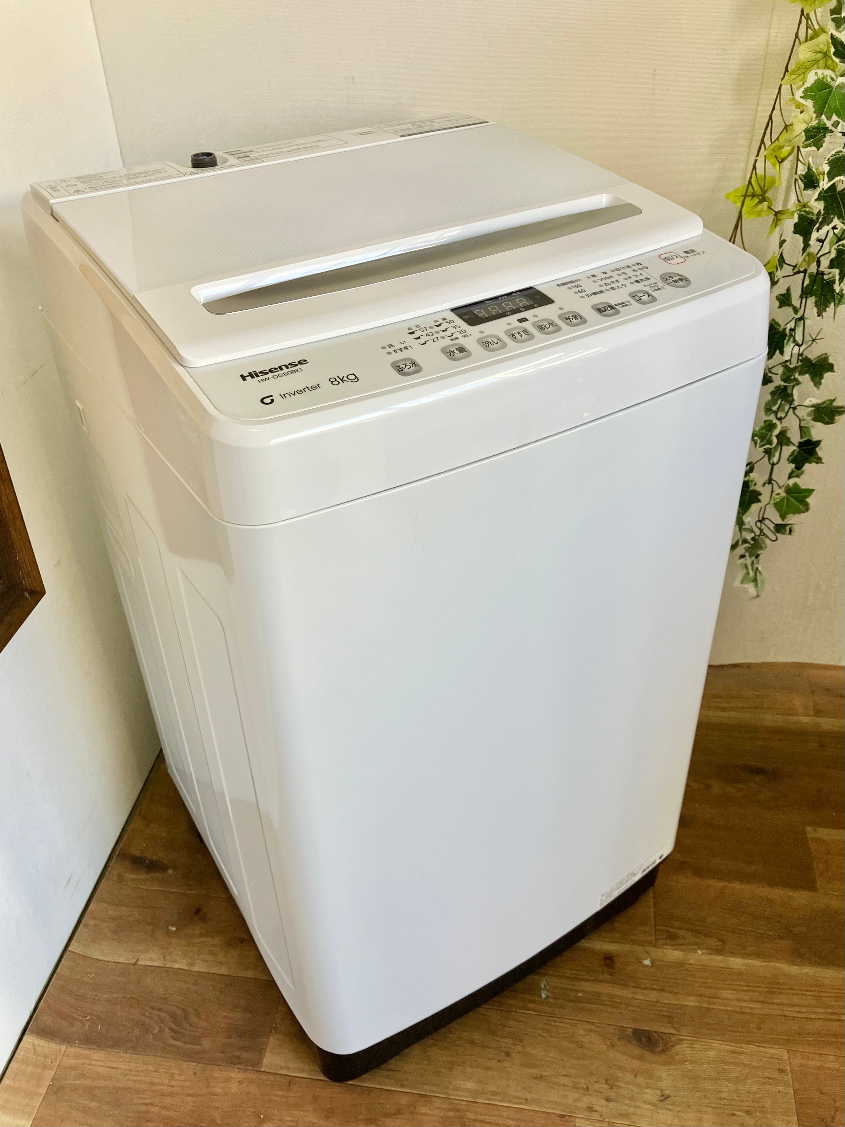2024年製 8.0kg Hisense 洗濯機 | 【オンラインショップ】ハラダ