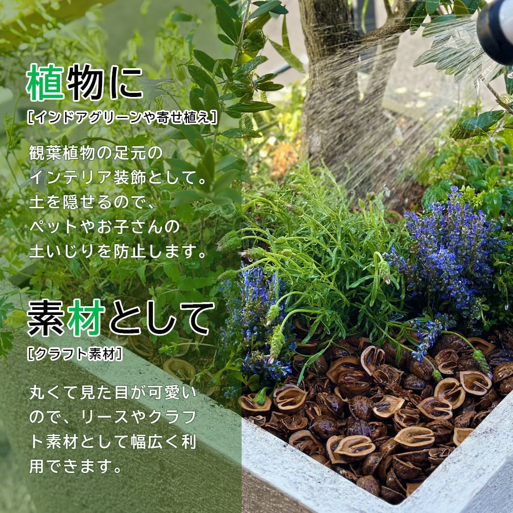 送料込み】庭のクルミン(12kg) お庭のグランドカバーや駐車場の防犯に