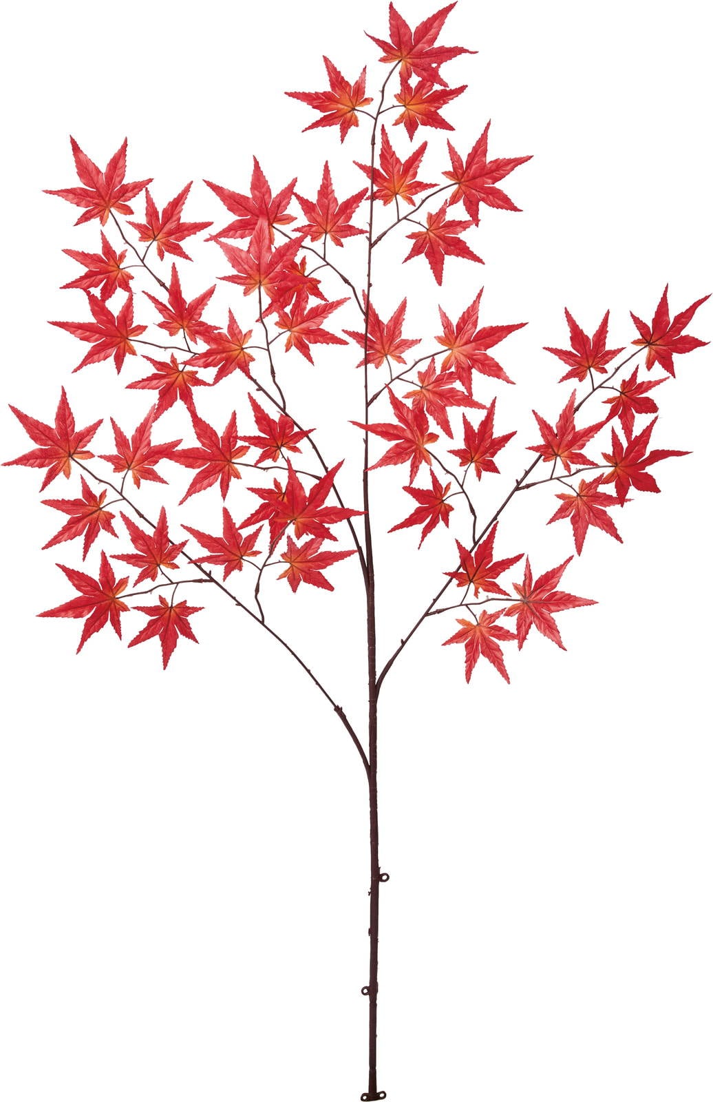 モミジオオエダ　　FS-9035R　4961823686399　造花（アーティフィシャルフラワー） > シーズン造花