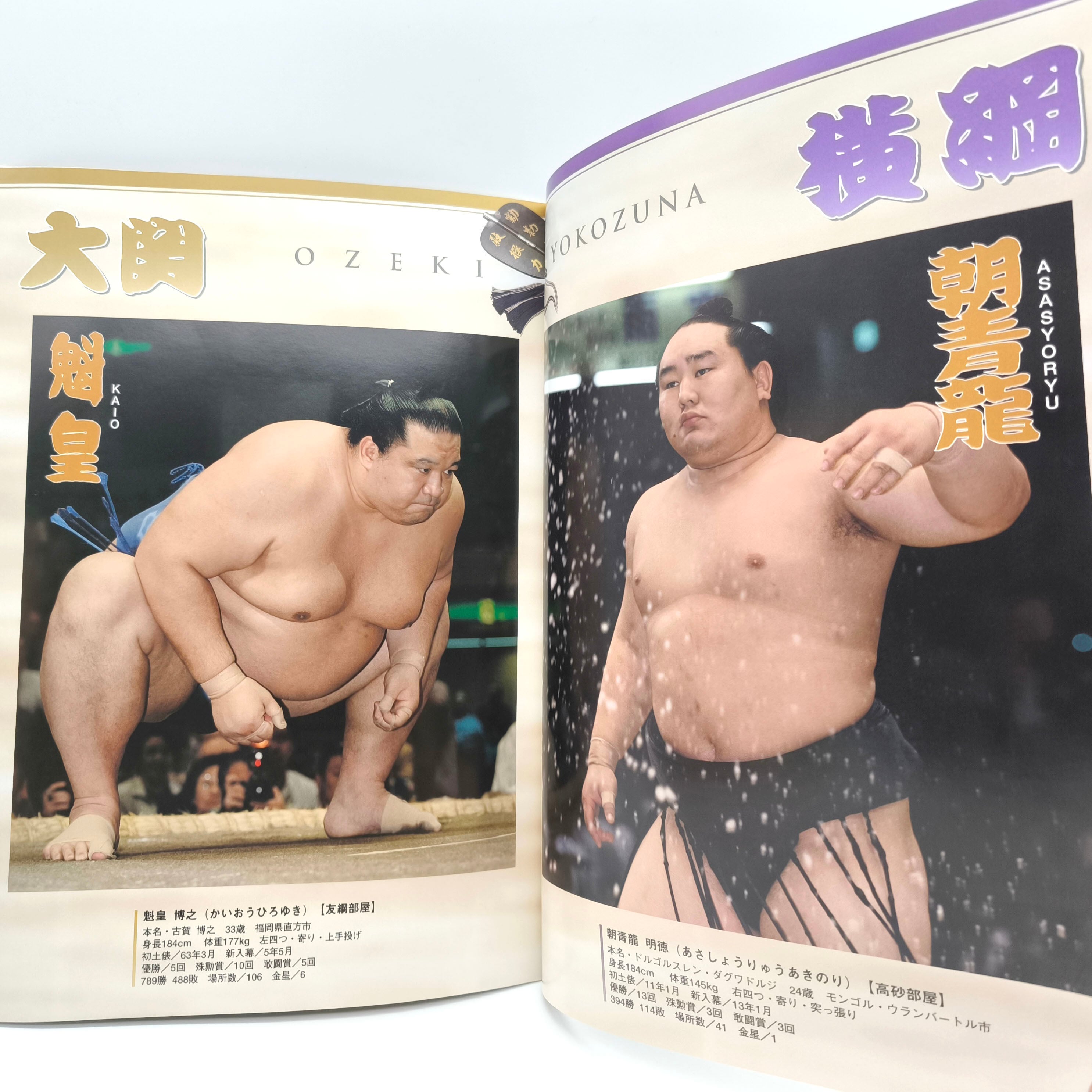 大相撲・パンフレット・2002年1月場所・2005年9月場所・2冊セット・No
