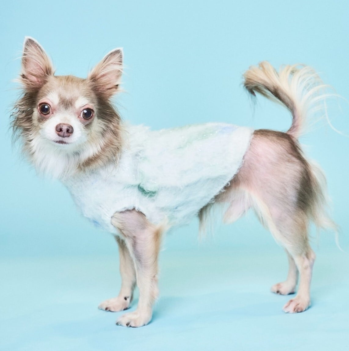 LAME SHAGGY JAQUARD KNIT-BLUE