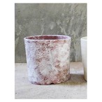 Seeding Ceramic Planter 【white pink】