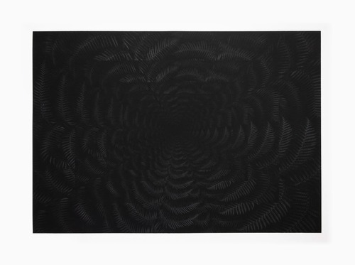 Julian Charrière - Dicksonia Antarctica (edition)