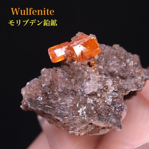 モリブデン鉛鉱 ウェルフェナイト 結晶  5.9g WF119 天然石 鉱物 標本 原石