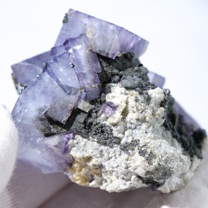 ヤオガンシャン産 フローライト 共生 / 原石 標本【G_2】