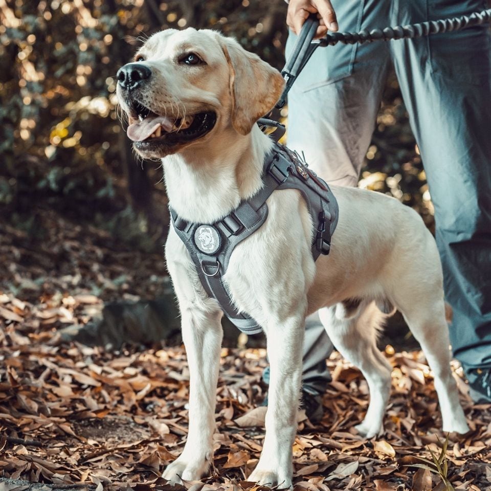 犬 ハーネス 大型犬 Onetigris 抜けない 簡単装着 引っ張り防止 中型犬