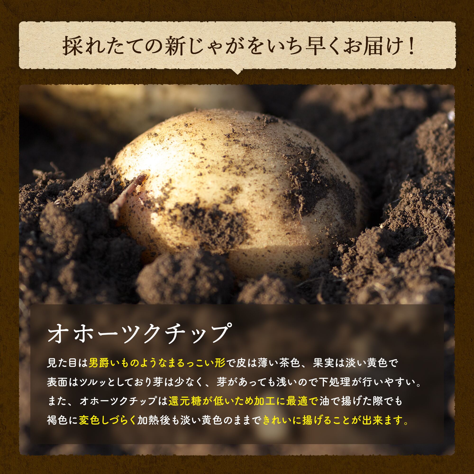 じゃがじゃが出品 d80982b0b9ff7ced8d20eb77f0c32a