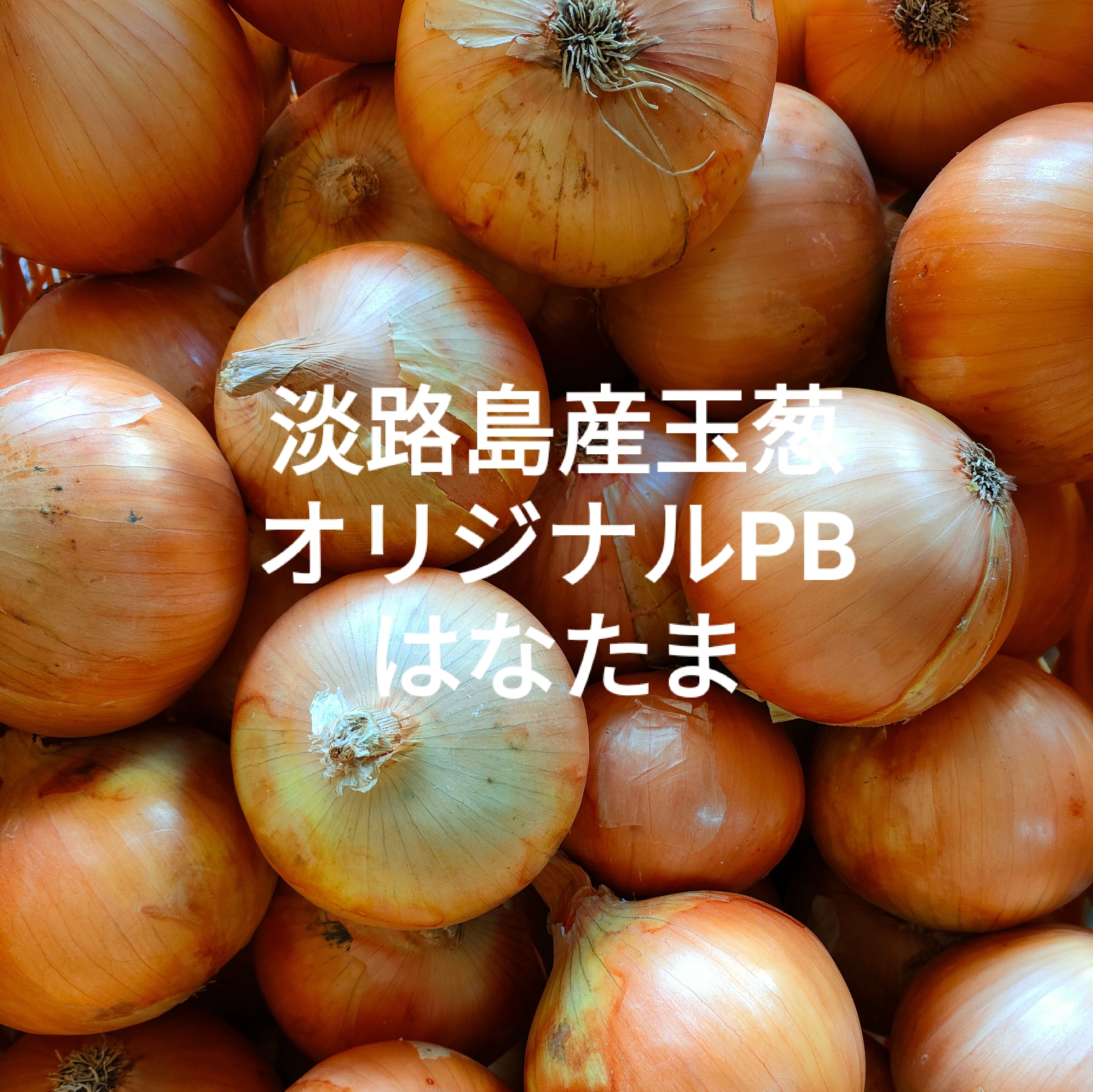 たまねぎタマネギ玉ねぎ　【公式】花ひろば❀　美玉　淡路島産玉葱オリジナルブランド　5kg　「はなたま」　淡路島の玉ねぎ・特産品｜オンラインショップ